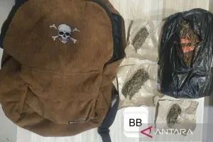 Lebaran di Sel, Dua Pemuda Edarkan Ganja di Jakpus