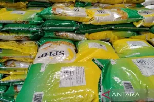 Bulog Sumut Salurkan 17.600 Ton Beras SPHP untuk Stabilkan Harga