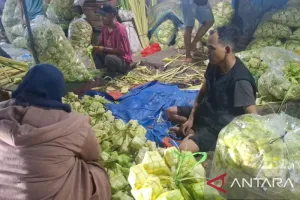 Pedagang Kulit Ketupat di Palmerah Jakarta Barat Banjir Pesanan