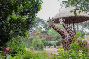 Pemkot Tegaskan Tak Buka Operasional Kebun Binatang Bandung Saat Libur Lebaran  