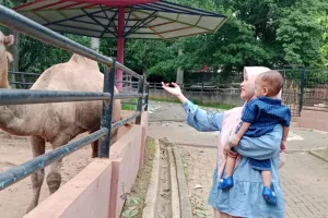Semarang Zoo Target 60.000 PengunjungSelama Libur Lebaran