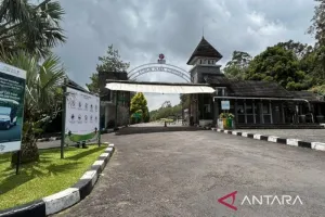 Tiket Masuk Kawasan Wisata Cibodas Gratis