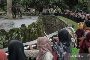 80.790 Wisatawan Kunjungi Ragunan pada H+2 Lebaran