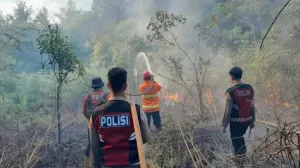BMKG Deteksi Titik Panas dan Gelombang Tinggi di Sumut