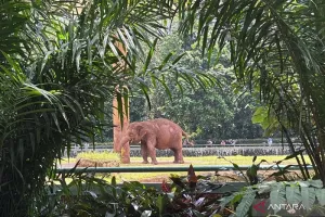 Libur Lebaran, Taman Margasatwa Ragunan Dipadati Pengunjung Sejak Pagi