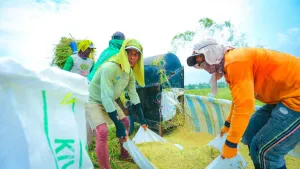 Mentan: Stok Pangan Aman, Harga Tetap Stabil di Seluruh Daerah