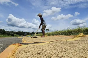 Pemerintah Lagi Ngebut Perkuat Ketahanan Pangan Mandiri