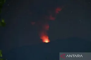 PVMBG: Gunung Ibu Erupsi dengan Kolom Abu 600 Meter dari Puncak