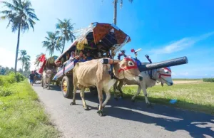 Festival Pegon Jadi Daya Tarik Wisata Pantai di Jember