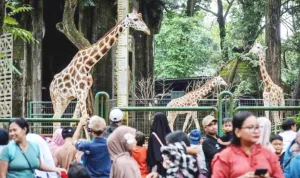 Satpol PP Jaksel Berjaga di Kawasan Ragunan dan Setu Babakan