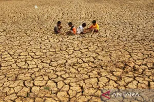 Waspada, Sebentar Lagi ada Godzilla El Nino: Pemerintah Perkuat Stok Cadangan Pangan