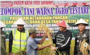Masuki Musim Panen Raya: Kementan Pastikan Stok Pangan Aman