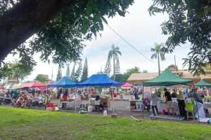 Pemkot Mataram Sebut Relokasi PKL ke Eks Bandara Selaparang Efektif