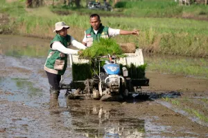 Perbaikan Tata Niaga yang Berkeadilan akan Meningkatkan Stok Pangan