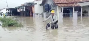 Sungai Comal Meluap, BNPB Ungkap 16 Desa Terendam di Pemalang