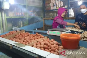 Harga Bahan Pokok setelah Lebaran di Depok Mulai Turun