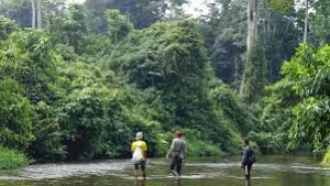 Keroyokan Melestarikan Bentang Alam Bukit Tiga Puluh