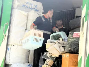 Selama Ramadan dan Lebaran, KAI Logistik Catat 13.435 Pengiriman Hewan Peliharaan