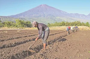Kondisi Pangan Global dalam Ancaman Serius