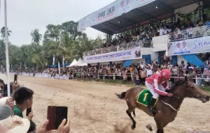 Pacu Kudo 2026 di Padang Pariaman Jadi Magnet Wisata, UMKM Pariaman Ikut Terdongkrak