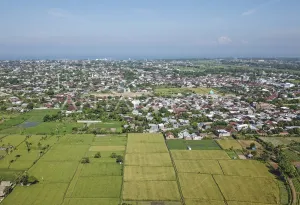 Alih Fungsi Lahan Disanksi! Pemerintah Siapkan Regulasi Denda Sawah