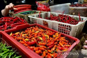 Harga Pangan: Cabai Rawit Merah Rp68.100/Kg, Daging Ayam Rp40.500/Kg