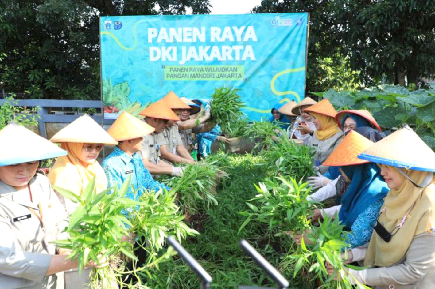 Jakarta Andalkan Urban Farming  Penuhi Kebutuhan Warga