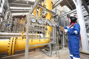 Pupuk Jadi Prioritas Gas, Sinyal Keras untuk Sektor Industri Lain