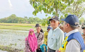 Sawah Kering di Boyolali Bakal Dialiri Air Stabil Sepanjang Tahun, Ini Rahasianya
