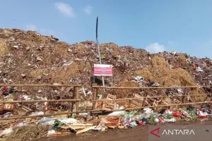 Suku Dinas LH Jaktim Tangani Sampah di Pasar Induk Kramat Jati Selama Tiga Hari