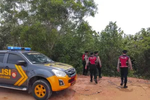 Bakar Hutan di Karimun? Siap Hadapi 15 Tahun Penjara dan Denda Rp15 Miliar