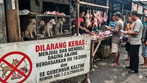 DPR Godok Regulasi Mengenai Larangan Konsumsi Daging Anjing dan Kucing