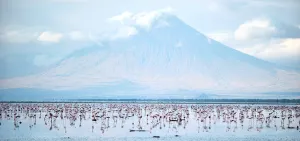 Rahasia Ilmiah di Balik Ekstremitas Danau Natron di Tanzania
