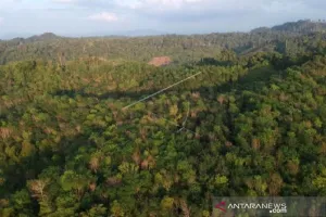 Gandeng Korsel, Indonesia Perkuat Jurus Hadapi Kebakaran Hutan