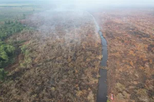 Karhutla Riau Meluas, Tim Manggala Agni Dibantu Sumsel dan Jambi