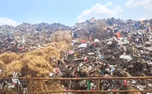 Pasar Jaya Kerahkan 33 Truk Angkut Sampah di Pasar Induk Kramat Jati