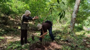 DPR Minta Kemenhut Berani Tegakan Hukum untuk Pelaku Deforestasi Ilegal