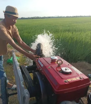 Hadapan Ancaman Kekeringan Ekstrem, Kementan Dorong Optimalisasi Pompa Air