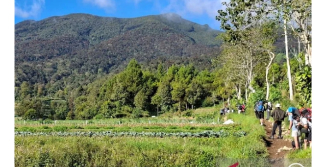 Hore! Gunung Gede Pangrango Buka Lagi Jalur Pendakian Pakai Gelang Khusus, Catat Tanggalnya 13 April