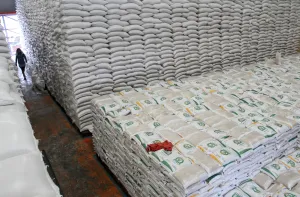 Terlalu Bergantung Impor membuat Pertanian Sangat Rentan Fluktuasi Kurs