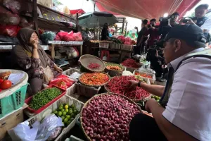 Harga Cabai Rawit Merah Rp119.400/Kg, Daging Ayam Rp52.150/Kg
