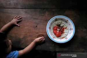 Harga Pangan Dunia Naik, FAO Sebut Efek Biaya Energi Meroket