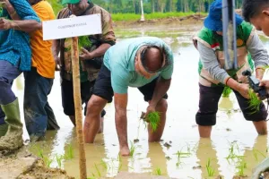 Pemprov Papua Targetkan Cetak 18.000 Hektare Sawah Baru pada 2026