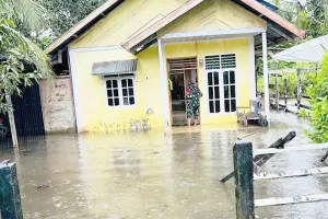 Simeulue Mencekam, 10 Kecamatan Terkepung Banjir, Jembatan Rangka Baja di Salang Nyaris Putus