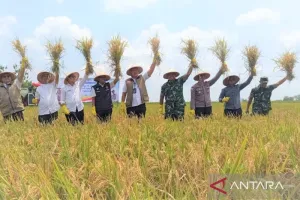Dirut Bulog: Target Penyerapan 4 Juta Ton Beras 2026 Dipastikan Tercapai