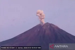 Gunung Semeru Erupsi 9 Kali, Tinggi Letusan hingga 1.000 Meter