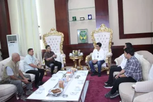 Wow! Luwu Dapat 448 Hektare Sawah Baru, Petani Siap Panen Lebih Banyak