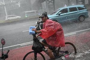 BMKG Prakirakan Cuaca di Kota-kota Besar Berpotensi Diguyur Hujan pada Minggu