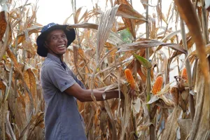 Inpres Nomor 3 Tahun 2026 Terbit: Jamin Keberpihakan terhadap Petani Jagung 