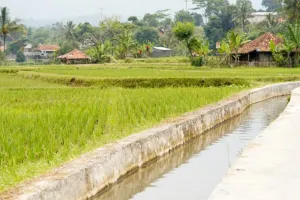 Kementan-PU Optimalkan Pengelolaan Air Antisipasi Kekeringan di Jawa Tengah